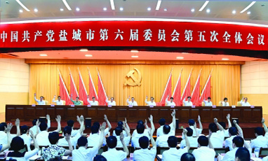 政府會議無線租賃成功案例